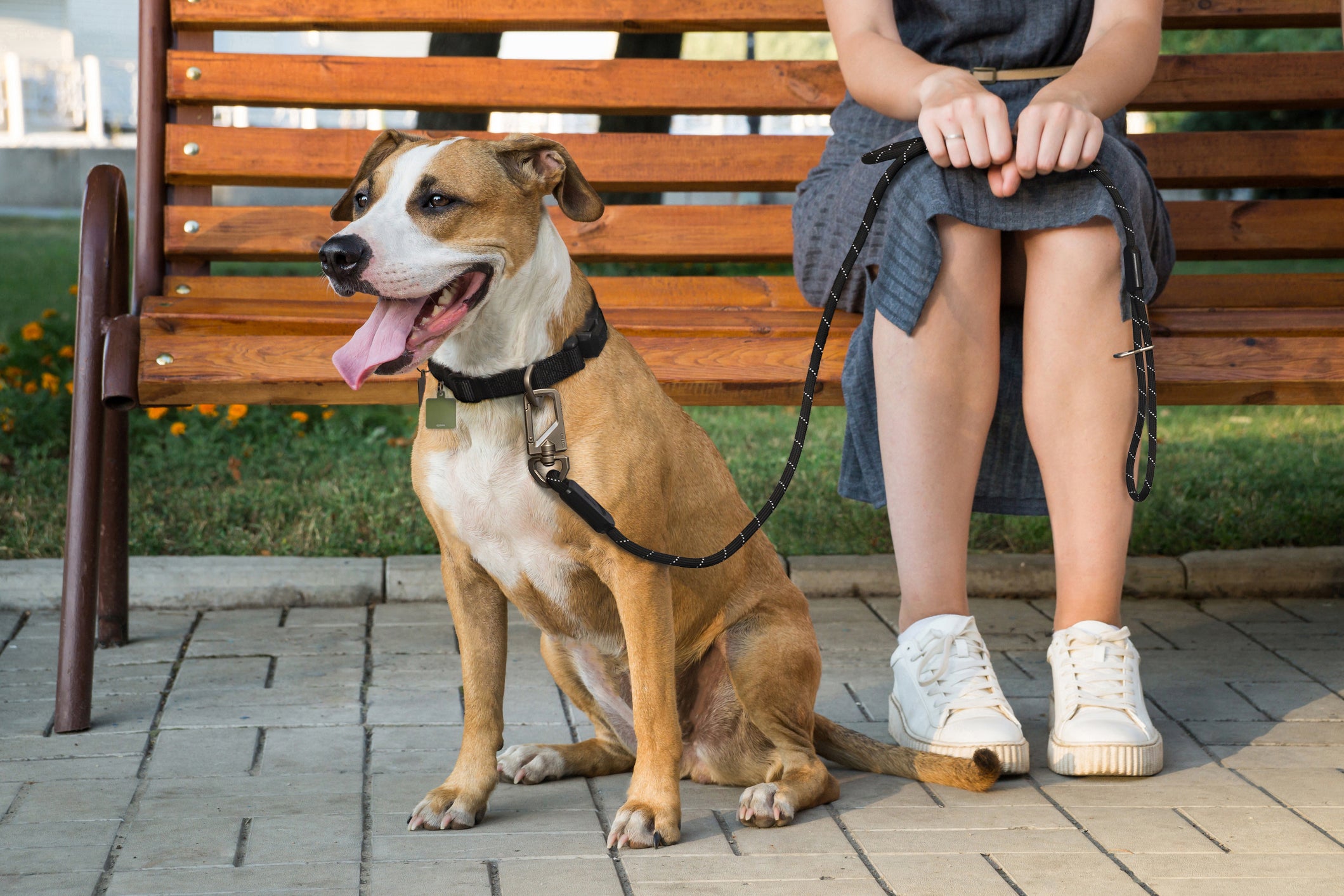 OTR Dog Collar Tag and Leash