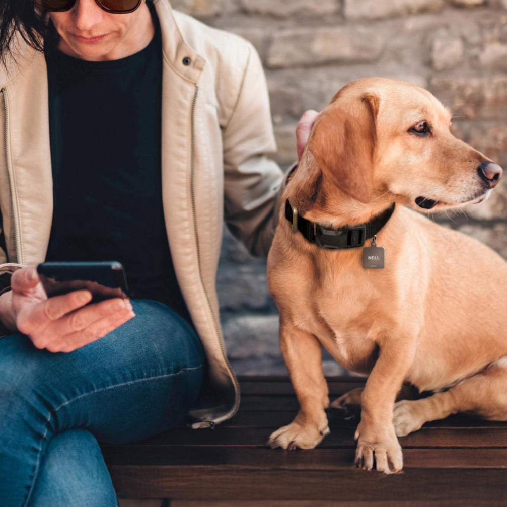 OTR Dog Collar and Tag