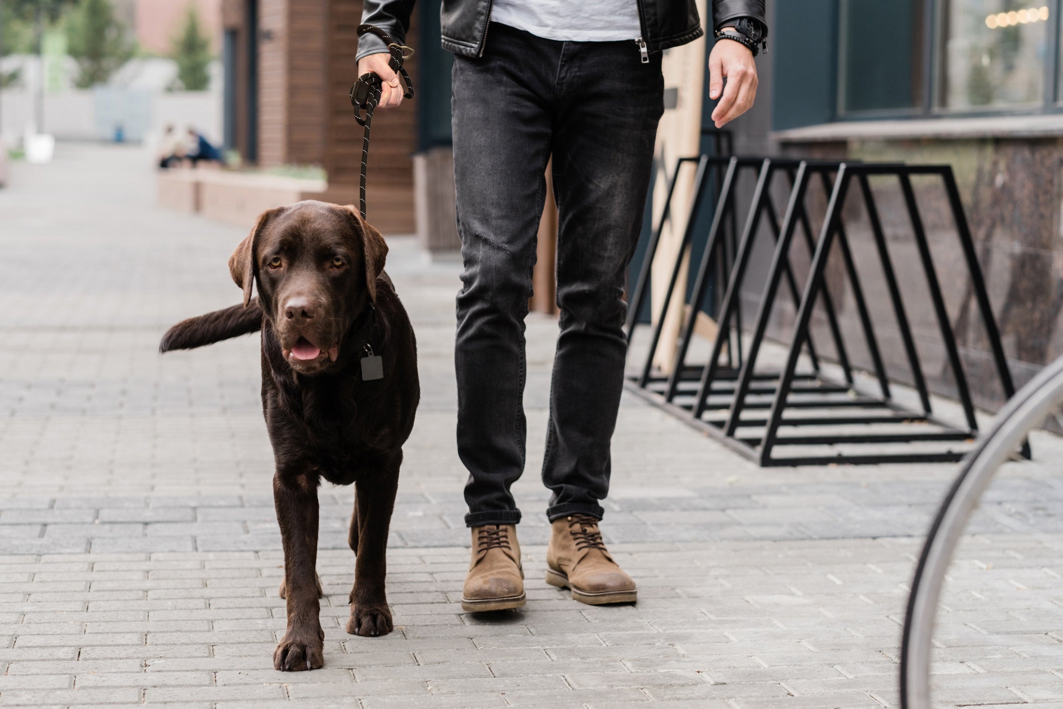 OTR Reflective Leash