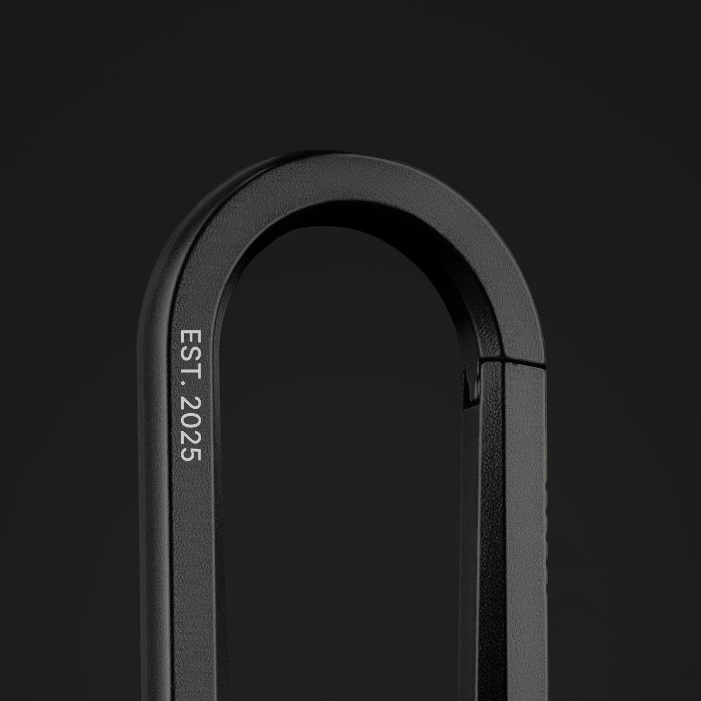 Personalized Carabiner