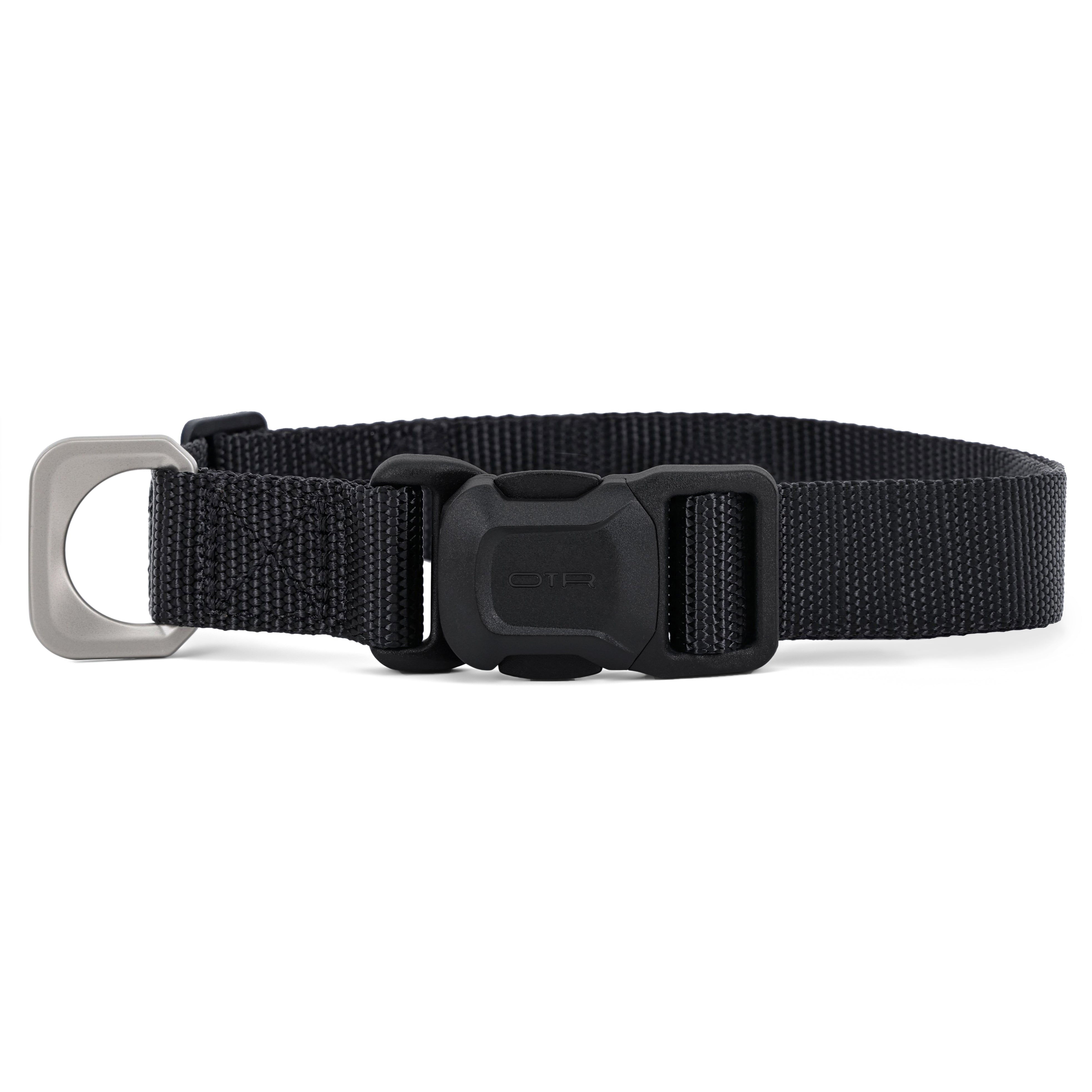 Dog Collar Closed