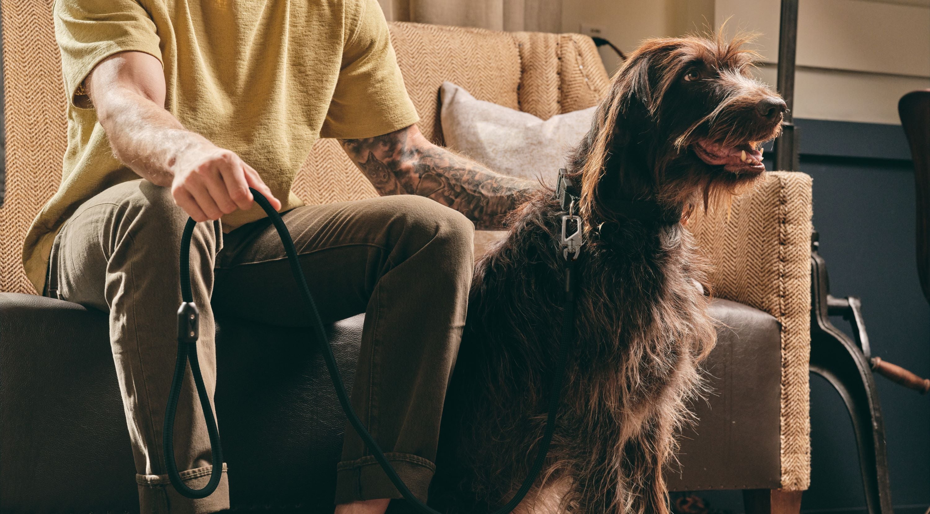 Dog Collar and Leash