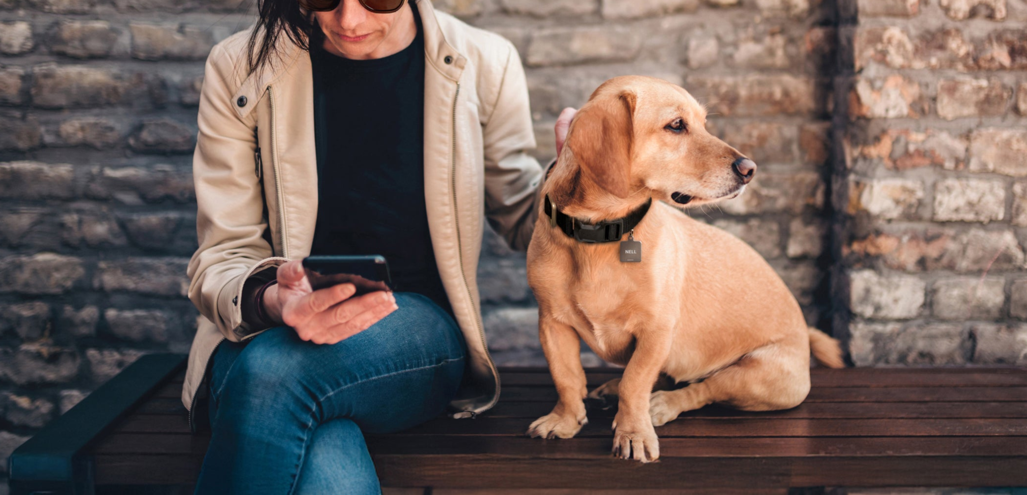 OTR Dog Collar and Tag