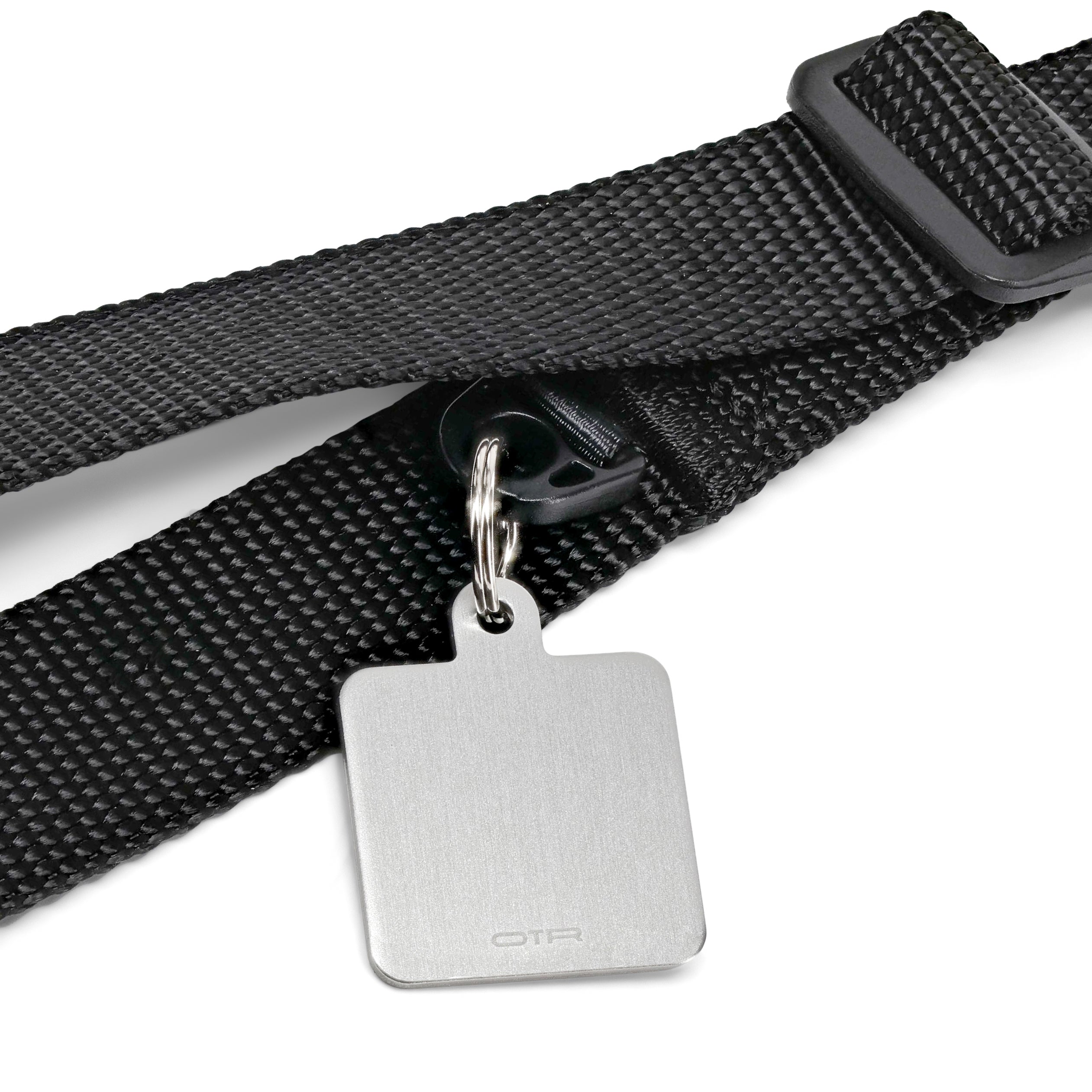 Tag within Collar